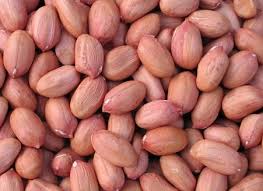 Ground nut