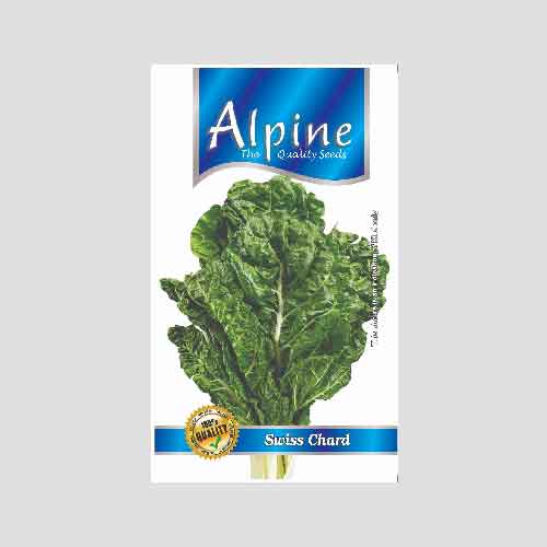 Alpine Swiss Chard Seeds