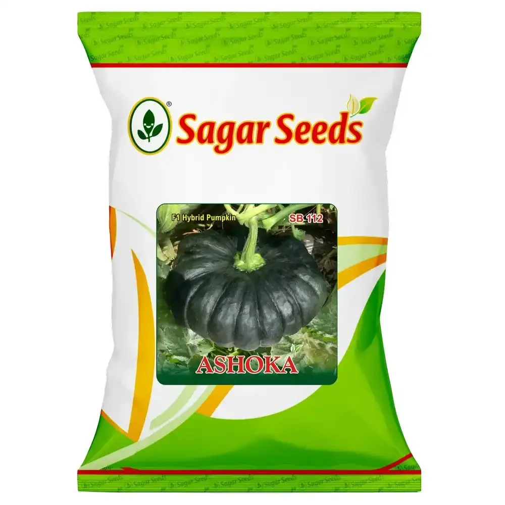 Sagar Ashoka F1 Hybrid Pumpkin Seeds