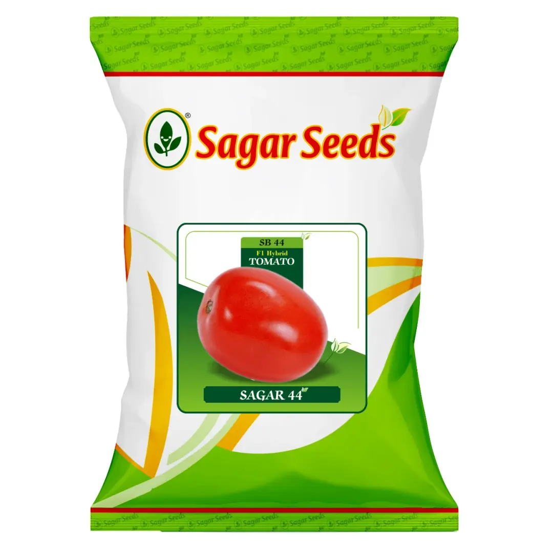 Sagar 44 F1 Tomato Seeds