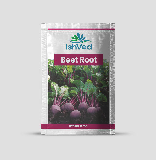 ISHVED Beet Root Seeds