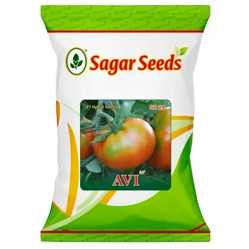 Sagar Avi F1 Hybrid Tomato Seeds
