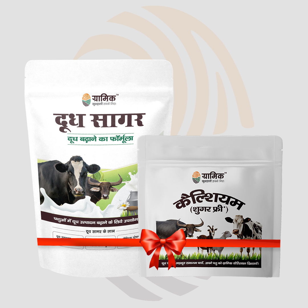 Gramik Doodh Sagar Cattle Feed Supplement (2qty) + Gramik Calcium (Sugar free) Animal Feed Supplements(2qty)
