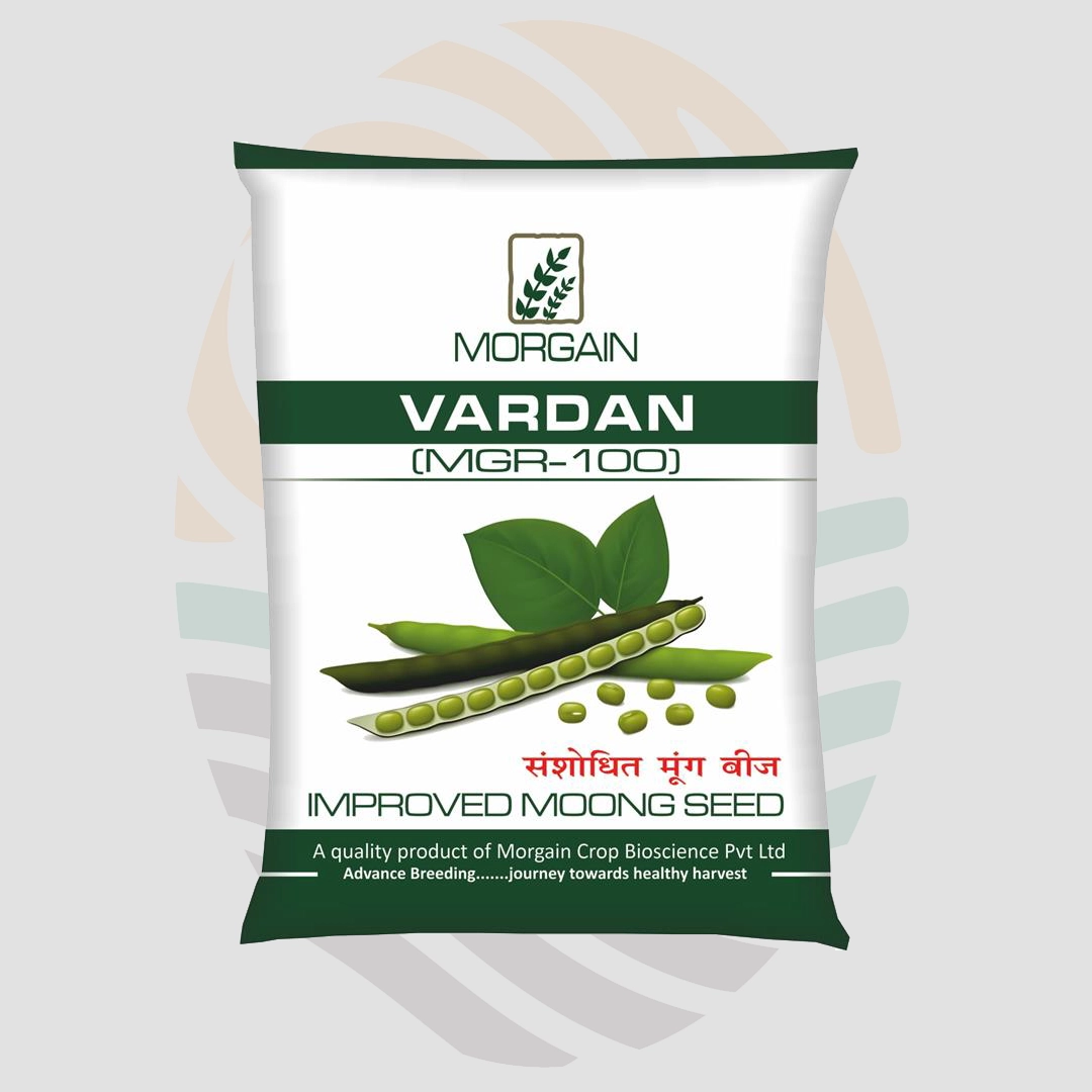 Vardan (MGR-100) Green Gram (Moong) Research Variety seeds