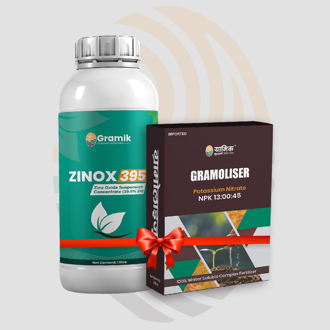 Zinox 395 (250ml) + NPK 13:00:45 (200gm)