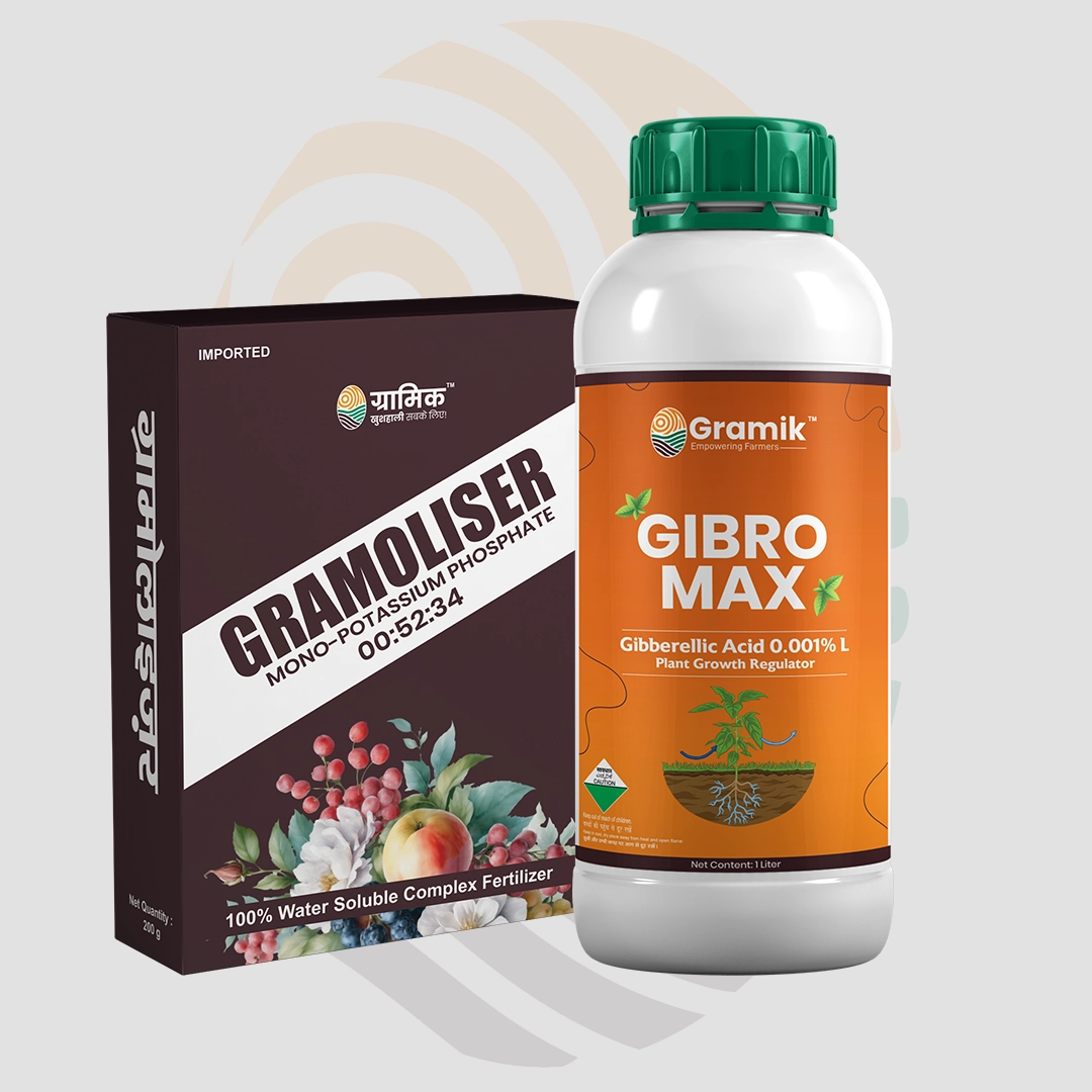 Gramoliser NPK 00:52:34 Fertilizer + Gibromax (Gibberellic Acid 0.001%) Plant Growth Regulator Combo