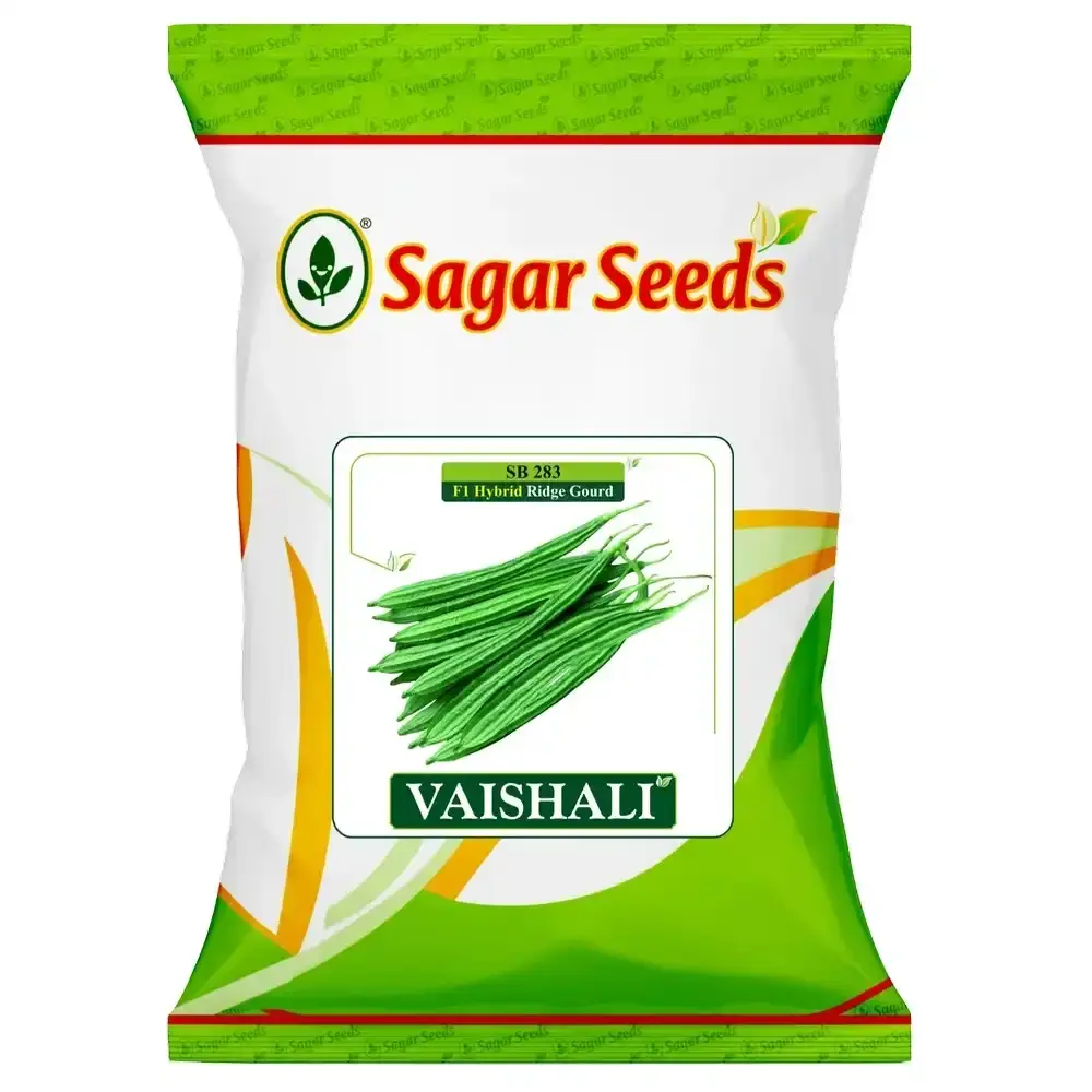 Sagar Vaishali F1 Hybrid Ridge Gourd Seeds