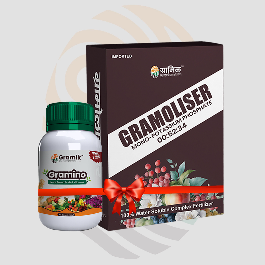 Gramino mix (250ml)+ NPK 00:52:34(2qty)
