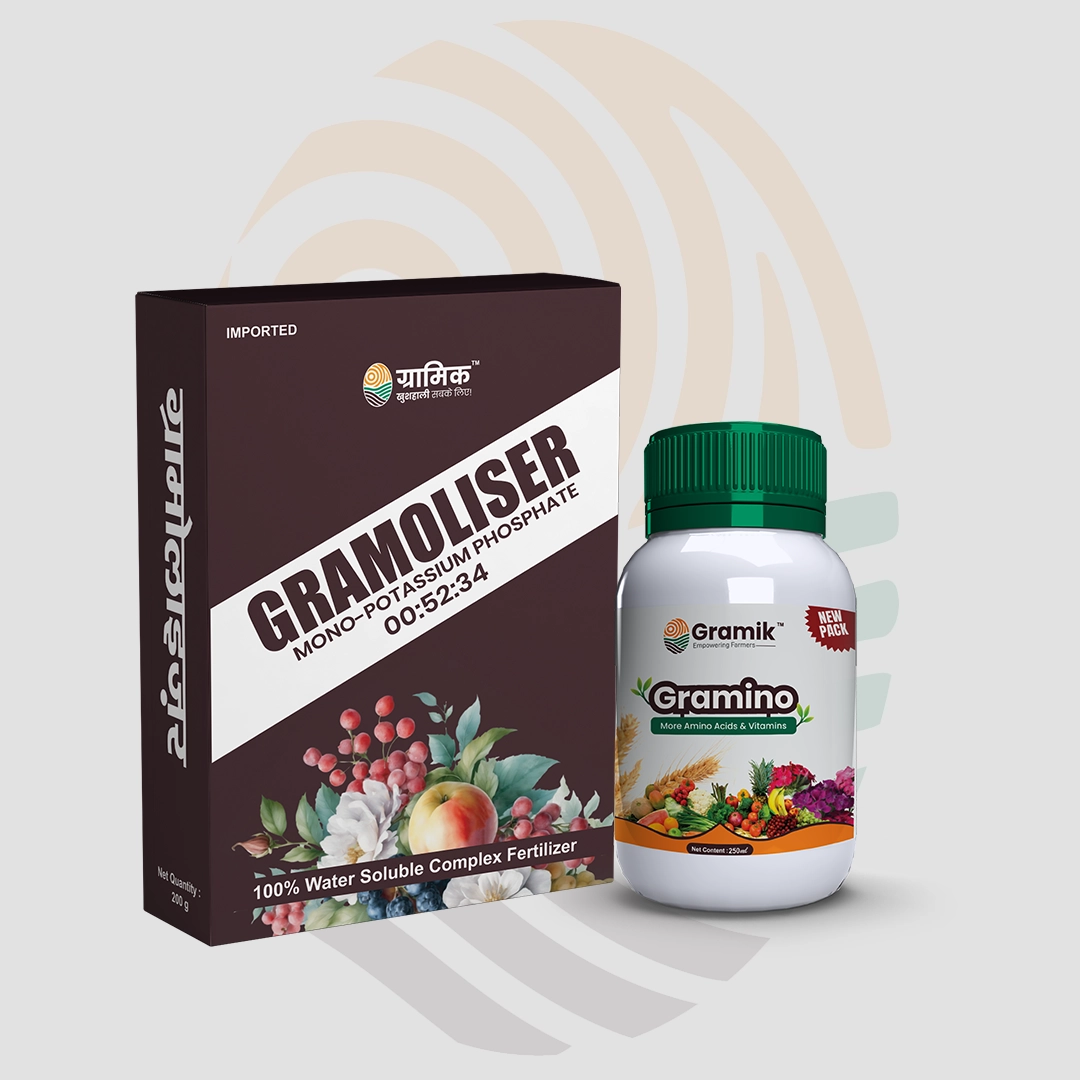 Gramoliser NPK 00:52:34 Fertilizer + Gramino Multimicronutrients Mixture liquid fertilizer Combo