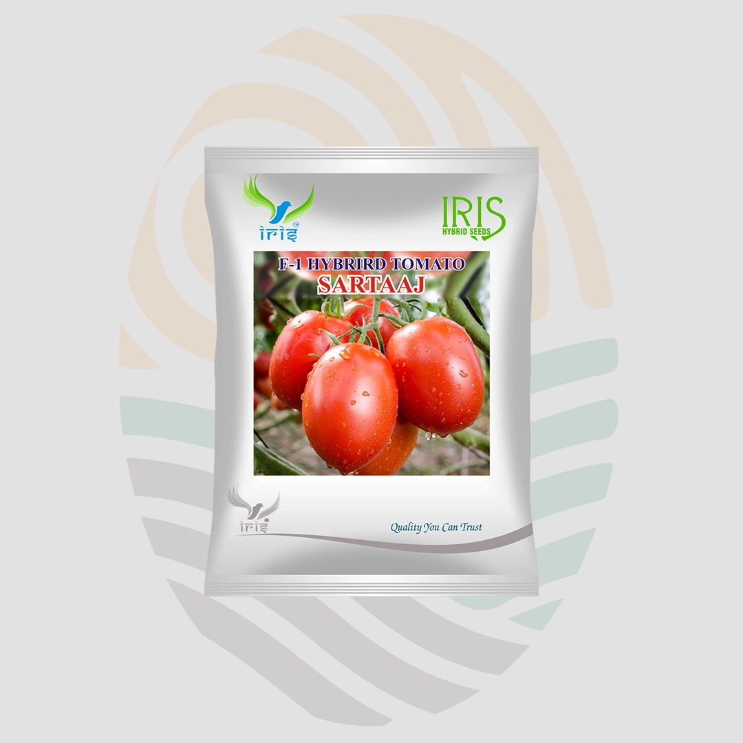 Iris Sartaaj F1 Hybrid Tomato Seeds