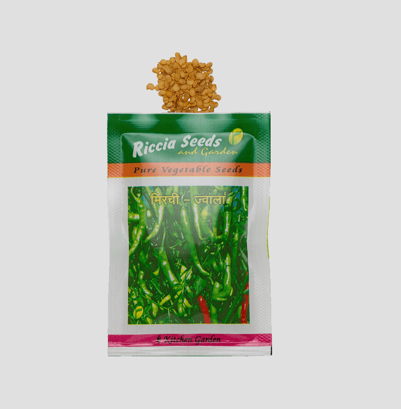 Chilli Pusa Jwala Seeds