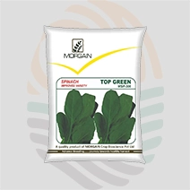 Top Green Research Spinach Seeds