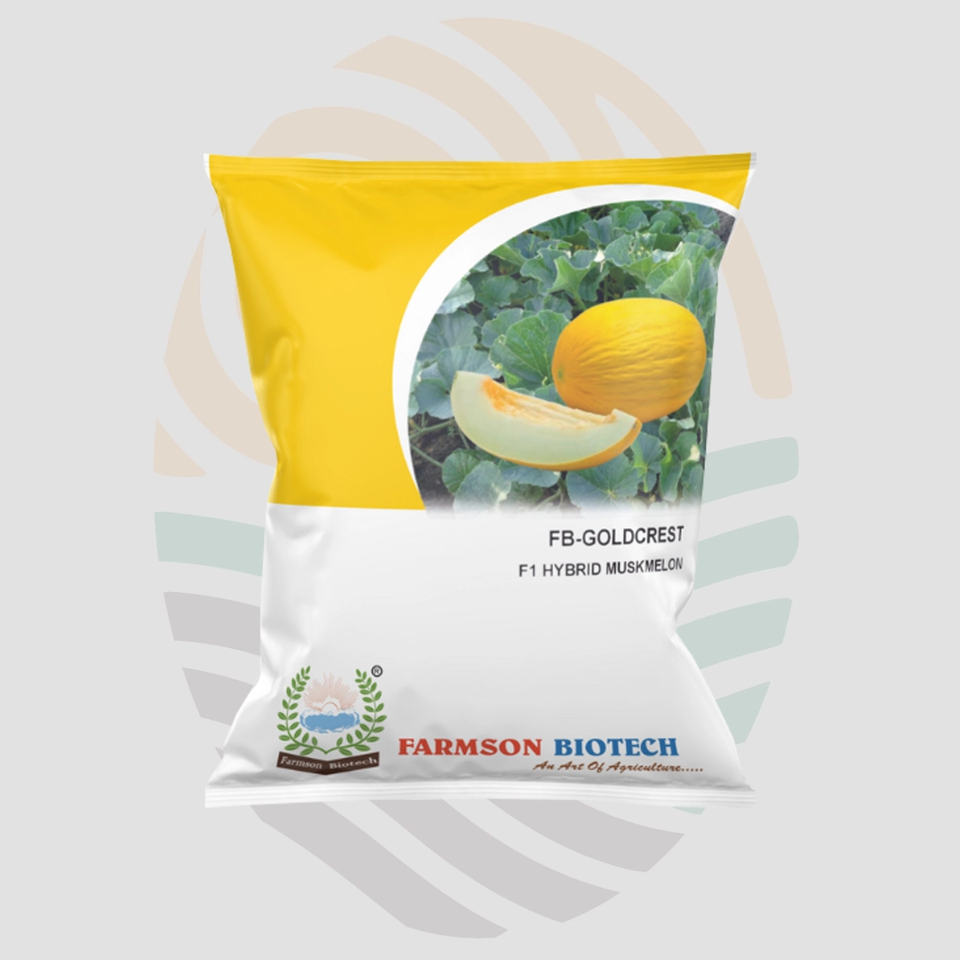 FB-Goldcrest F1 Hybrid Muskmelon Seeds
