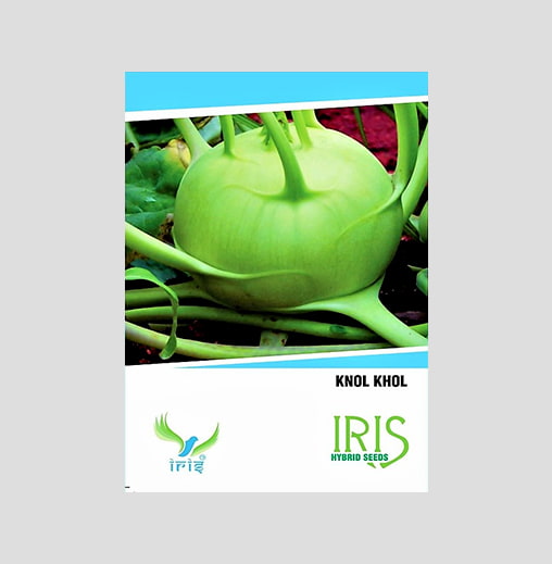 Iris Imported Knol Khol Seeds