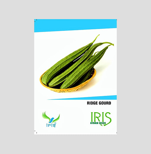 Iris F1 Hybrid Ridge Gourd Seeds
