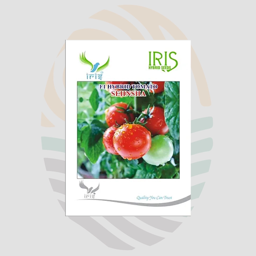 Shensha F1 Hybrid Tomato Seeds