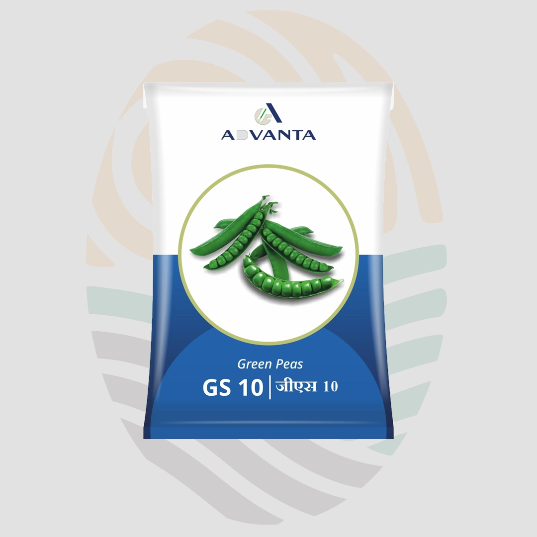 GS -10 Pea seeds