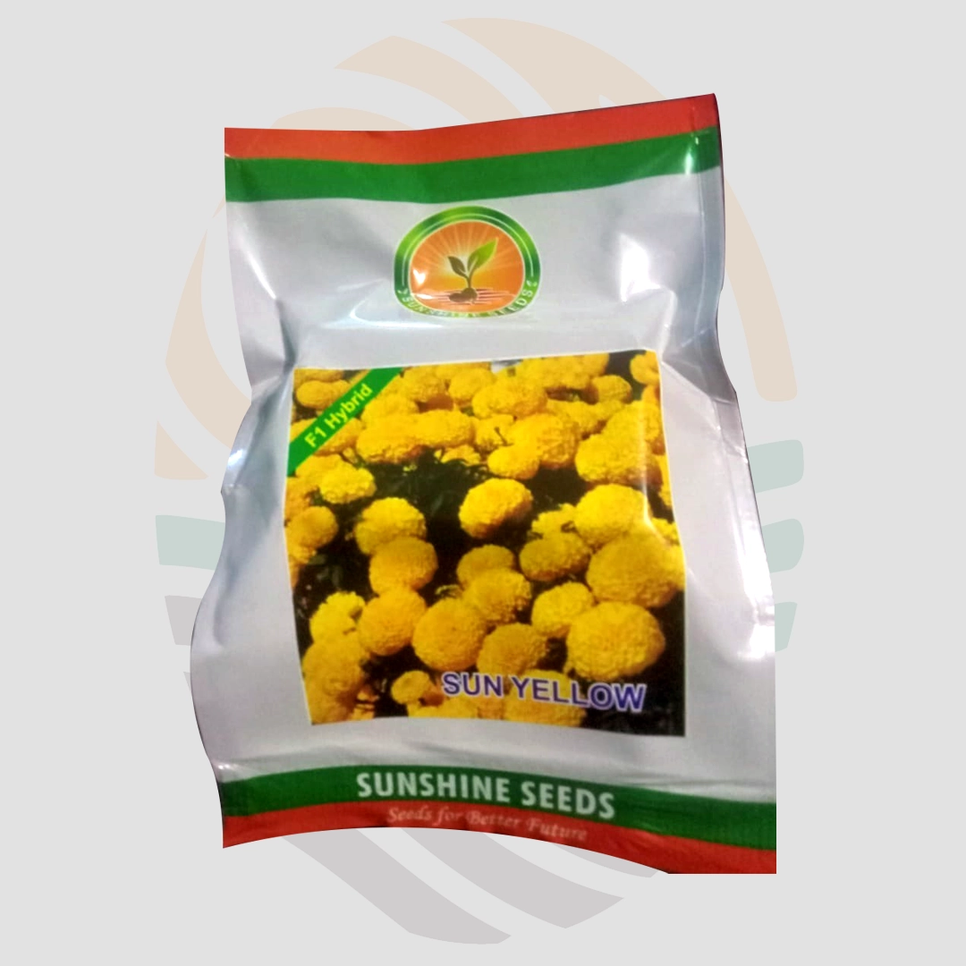 Sun Yellow F1 Hybrid Marigold  seeds