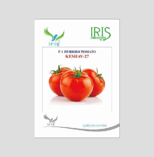 Iris Keshav-27 F1 Hybrid Tomato Seeds