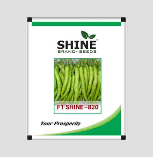 Shine 820 F1 Hybrid Chilli Seeds