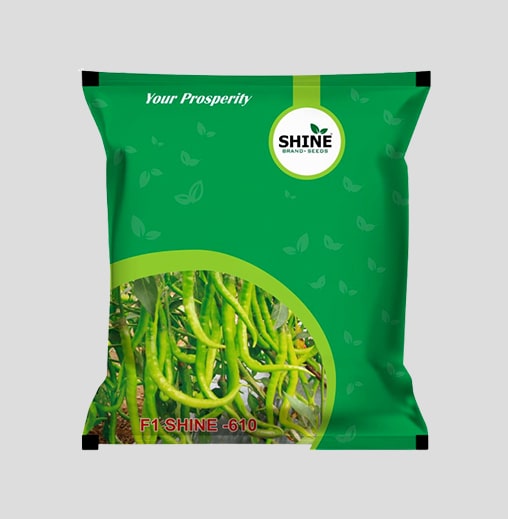 Shine 610  F1 Hybrid Chilli Seeds