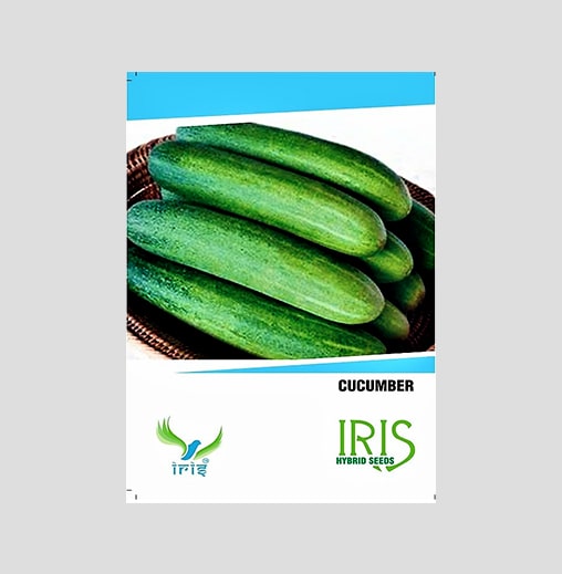 Iris F1 Hybrid Cucumber Seeds