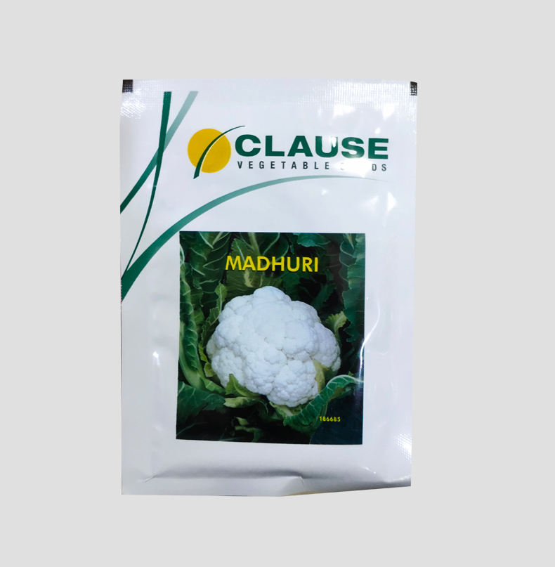 Madhuri cauliflower