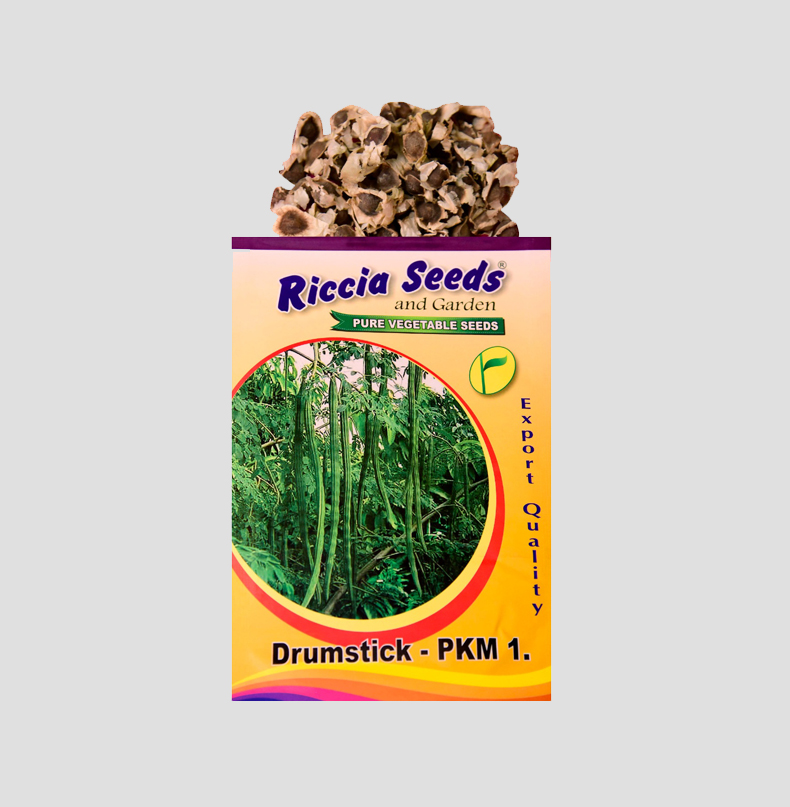 Drumsticks PKM 1 Seeds