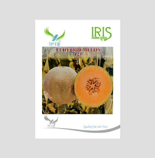 Iris Hybrid Fruit Seeds F1 Hybrid Musk Melon-123
