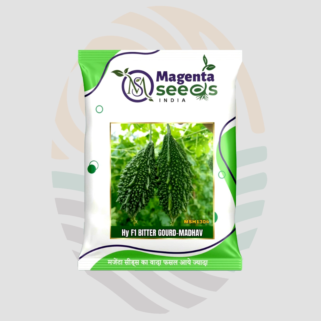 Madhav (MSH1304)  Bitter Gourd Seed
