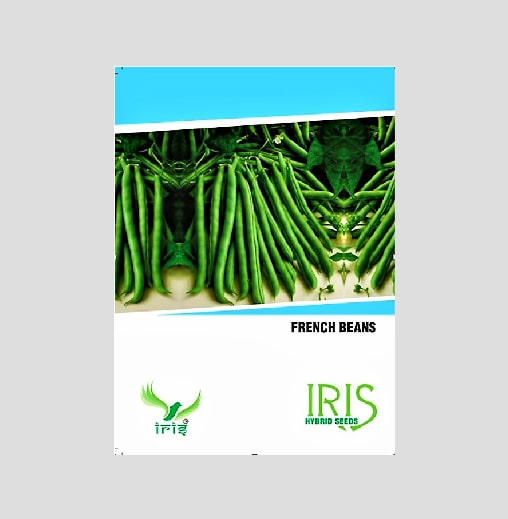 Iris OP French Beans Seeds
