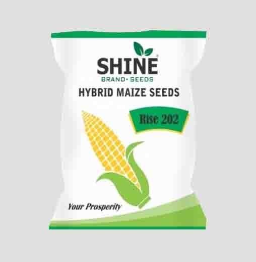 Rise 202 Maize Seeds