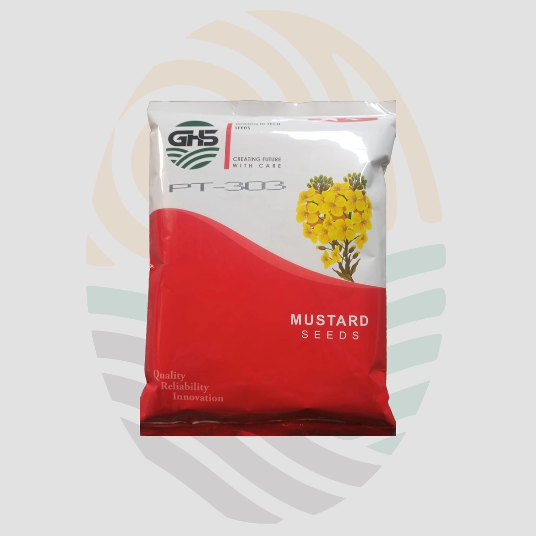 PT- 303 ( lahi)  Mustard Seeds