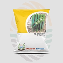 FB-Samruddh F1 Hybrid Okra Seeds
