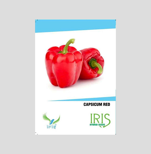 Iris Imported Red Capsicum Seeds