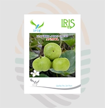 Iris F1 Hybrid  Anmol  Apple Gourd ( Tinda ) Seeds