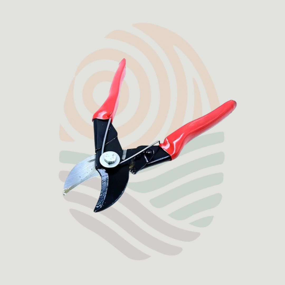 Pruning Shear Garden Tool | Flower Cutter | Gardening Tools for plants | Garden Accessories