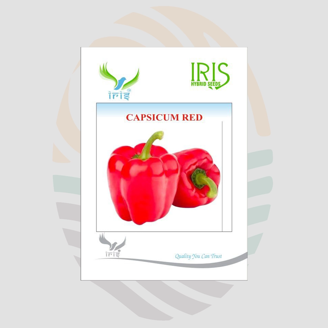 Iris Imported Red Capsicum Seeds