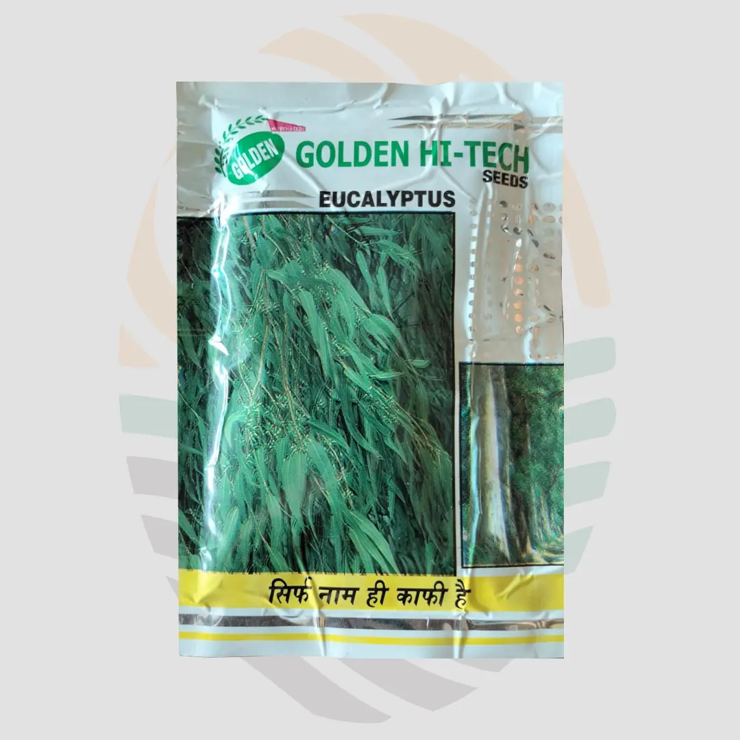 Eucalyptus Improved Seeds