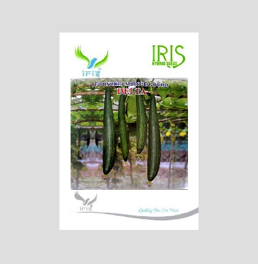 Iris Delta F1 Hybrid Sponge Gourd Seeds