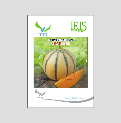 Iris Hybrid Fruit Seeds F1 Hybrid Musk Melon Sharbati