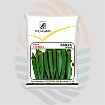 Sanya F1 Hybrid Okra Seeds
