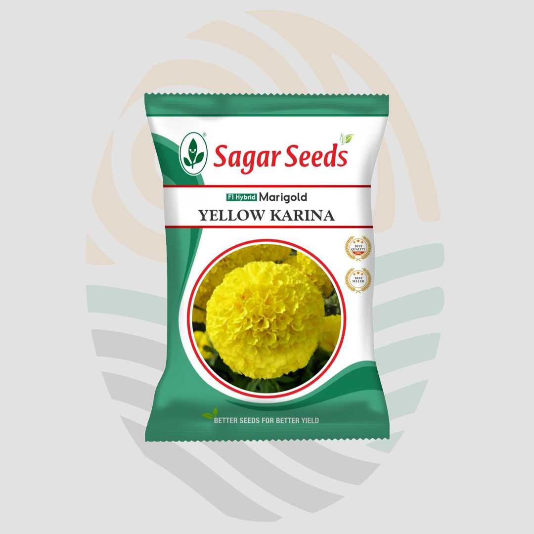 Sagar Yellow Karina F1 Marigold Seeds