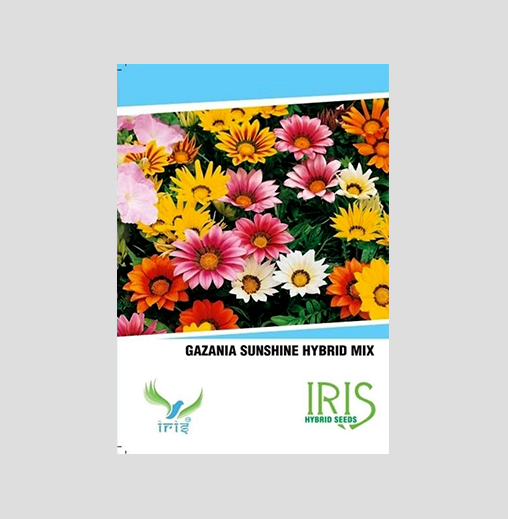 Iris Imported Gazania Sunshine Mix Seeds