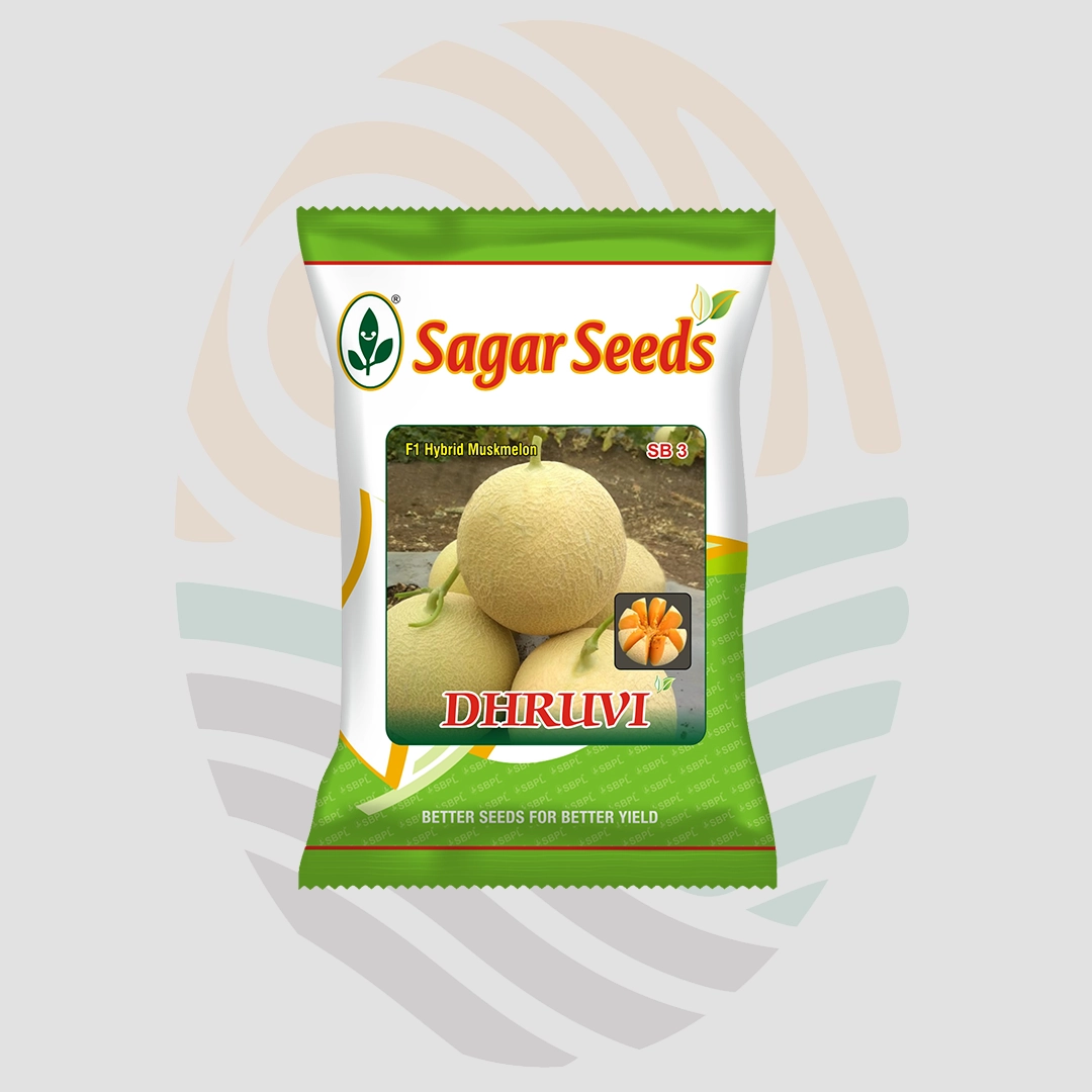 Sagar Dhruvi F1 Muskmelon Seeds