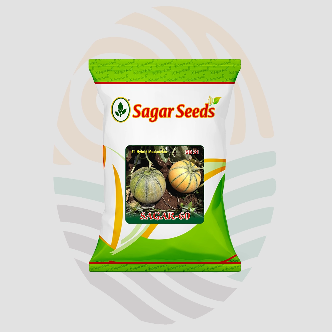Sagar -60 F1 Muskmelon Seeds