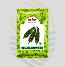 Pragati 065 F1 Hybrid Bitter Gourd Seeds