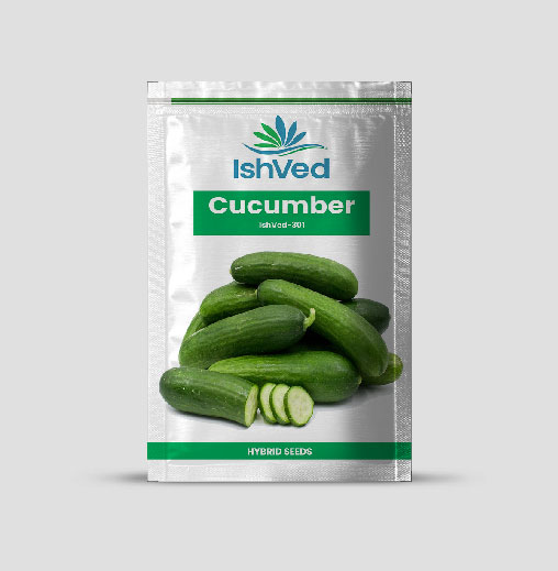IVCUH - 301 Cucumber Seeds