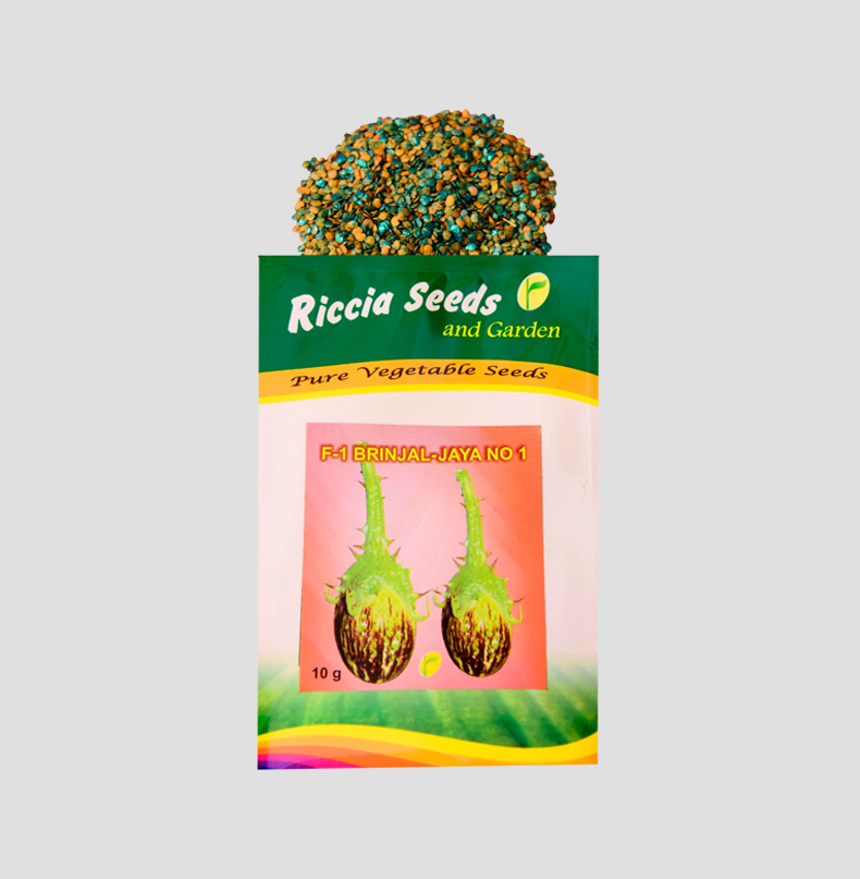 F1 Brinjal Jaya No 1 Seeds