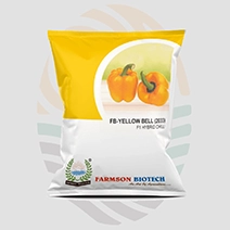 FB-Yellow Bell (2033) F1 Hybrid Capsicum Seeds